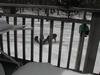 DSCN0249.JPG